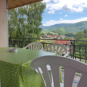 Apartman Milanovic, Soko Banja